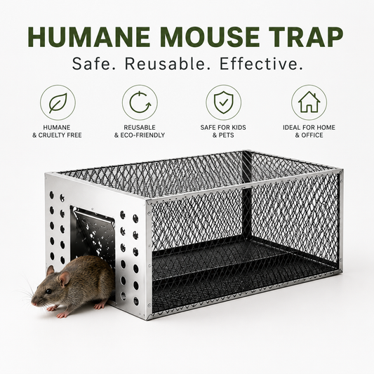 Humane Live Catch & Release Mouse Trap
